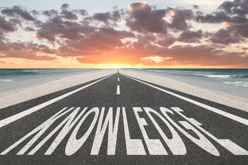 道路绿化应采取什么措施