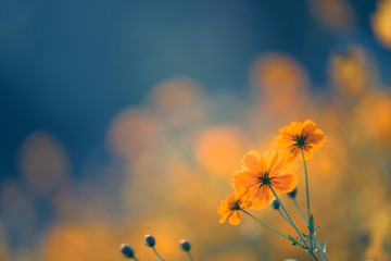 小区封闭管理怎么点外卖？