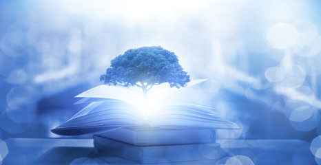 农业银行一次可转多少钱到微信