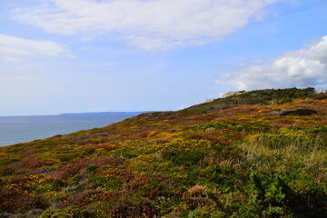 张志宏的个人经历