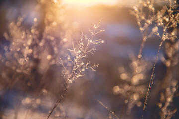 重庆9号线到重庆北站怎么走