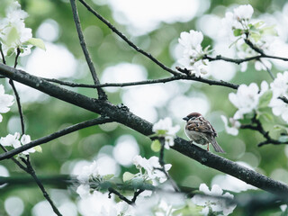 三亚中铁子悦台地址在哪里？