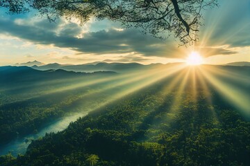 梦见和朋友栽花种树的预兆