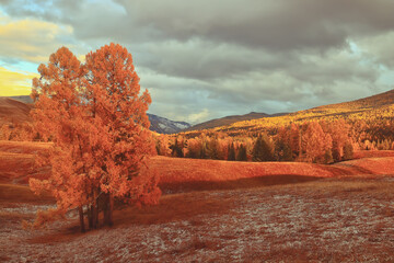 情人节活动策划方案精选