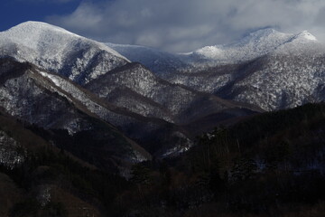 梦见和朋友栽花种树的预兆