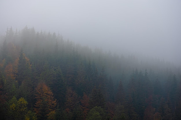 合肥旅游景点排行榜前十名
