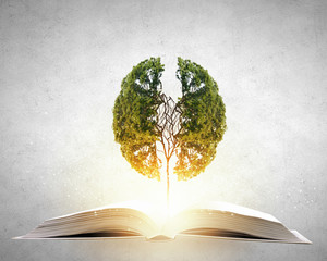 打野怎么玩才是正确的