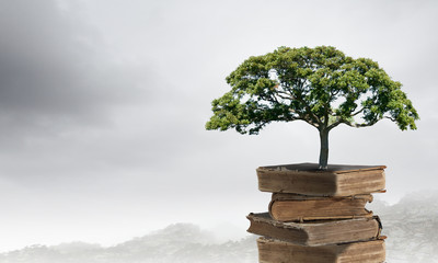 晒装修三室新房子效果三室二厅怎么装修