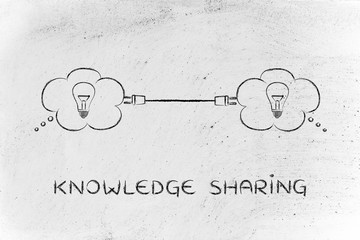 战略管理的全过程