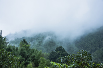 武术体能基础训练方法